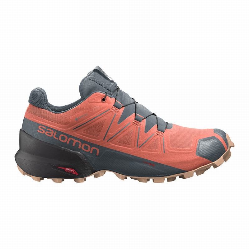 Chaussures De Trail Running Salomon Femme Orange / Grise - Salomon SPEEDCROSS 5 GORE-TEX - France (5